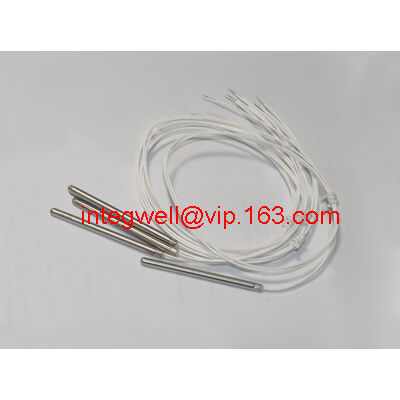 Temperature probe / temperature sensor